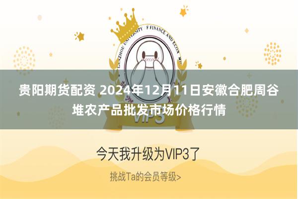 贵阳期货配资 2024年12月11日安徽合肥周谷堆农产品批发市场价格行情