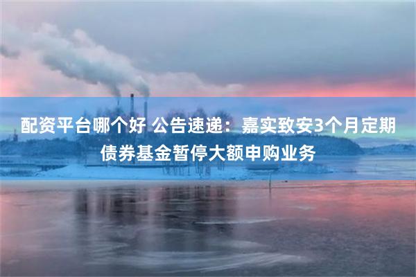 配资平台哪个好 公告速递：嘉实致安3个月定期债券基金暂停大额申购业务