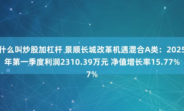 什么叫炒股加杠杆 景顺长城改革机遇混合A类：2025年第一季度利润2310.39万元 净值增长率15.77%