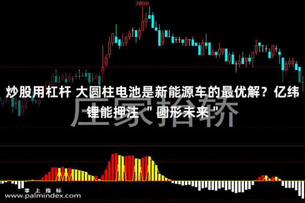 炒股用杠杆 大圆柱电池是新能源车的最优解？亿纬锂能押注 ＂圆形未来＂