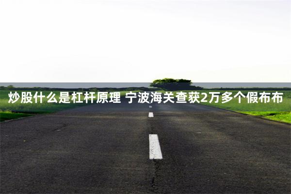 炒股什么是杠杆原理 宁波海关查获2万多个假布布